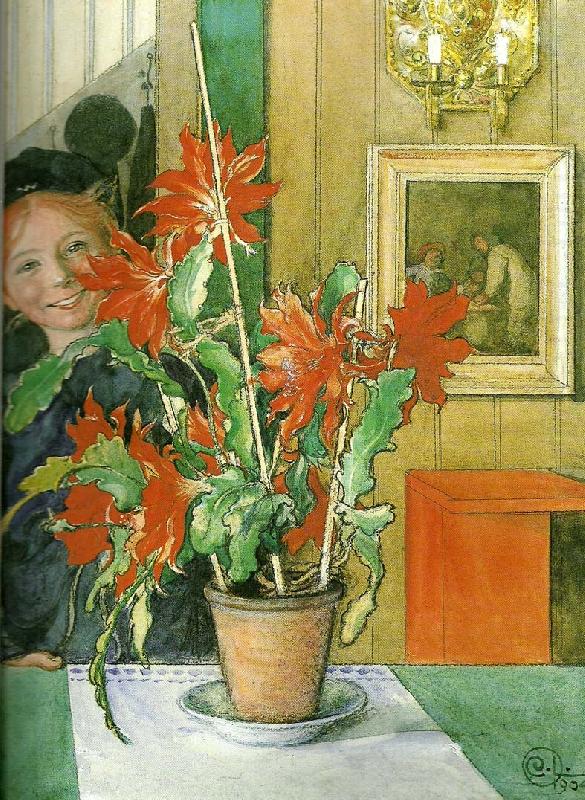 britas kaktus-skrattet, Carl Larsson